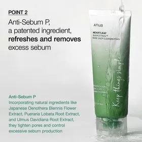 فوم شستشوی صورت پاک کننده عمقی منافذ آنوا Anua Heartleaf Quercetinol Pore Deep Cleansing Foam - تصویر 2